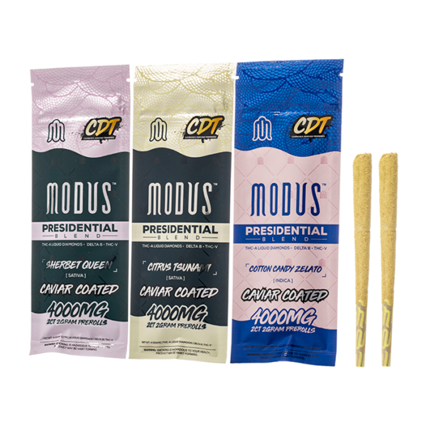 MODUS PRESIDENTIAL BLEND 4G PRE-ROLL