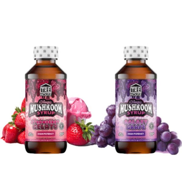 TRE HOUSE MAGIC MUSHROOM SYRUP 4OZ