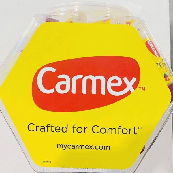 CARMEX FOR LIBS 48CT JAR