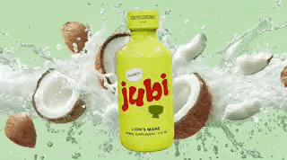 JUBI LION'S MANE TOASTED COCONUT SHOT 12CT